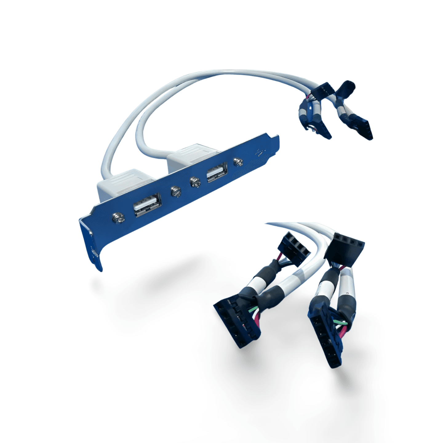 1.3ft USB Dual Port to Mainboard Port 2x5 - White