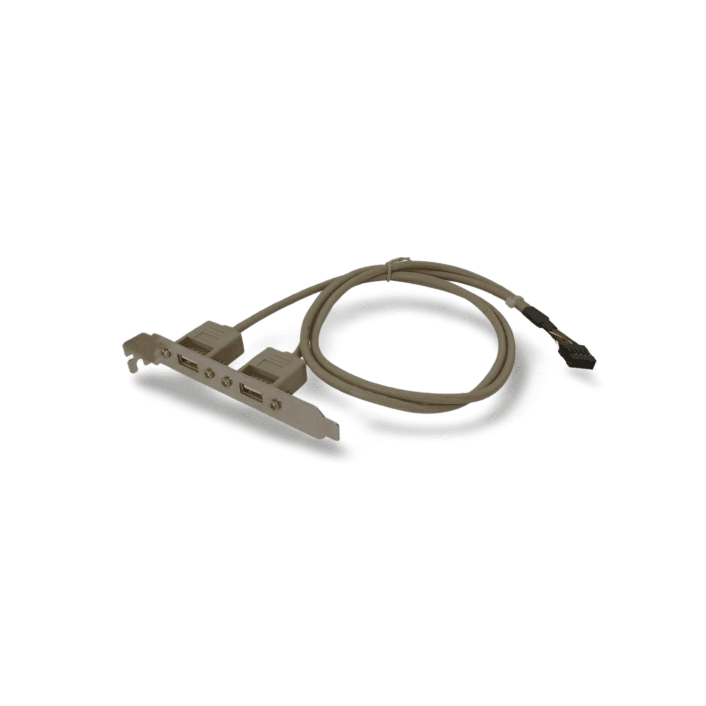 2ft USB A Dual External Port to Motherboard Port 2x5 Pin Bracket Header Cable white