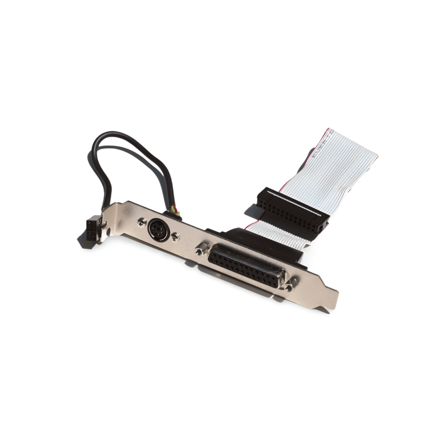 6in DB25 Female Parallel Port and PS2 Port in Slot Cover 2x4 - Gray